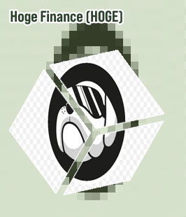 Hoge finance crypto