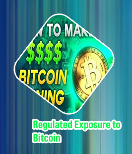How much is bitcoin per share